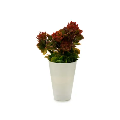 Vase Artificialebene weiß 10x20cm