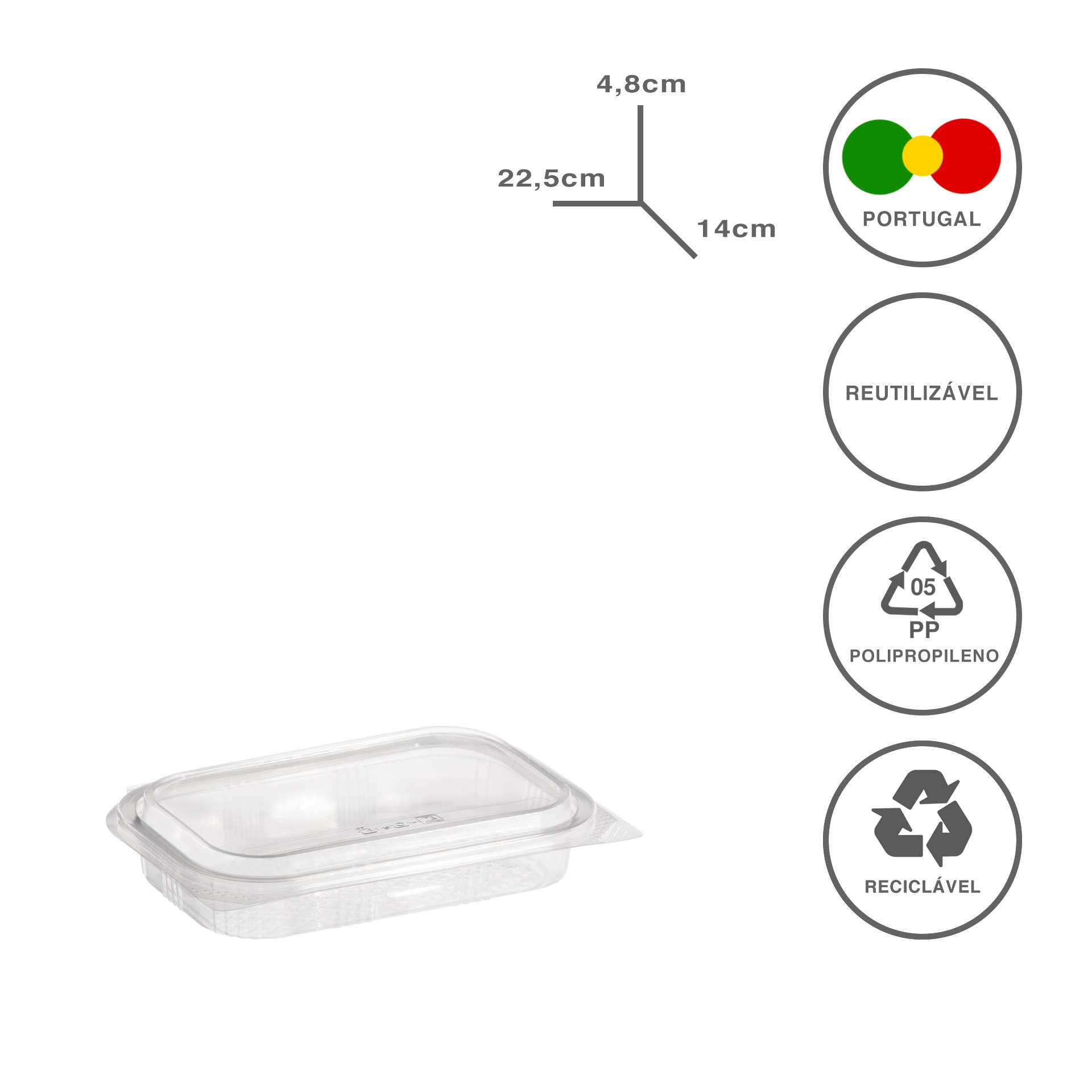 TAKE AWAY CAIXA PP 500ML 22.5X14.9X4.8CM PACK 62