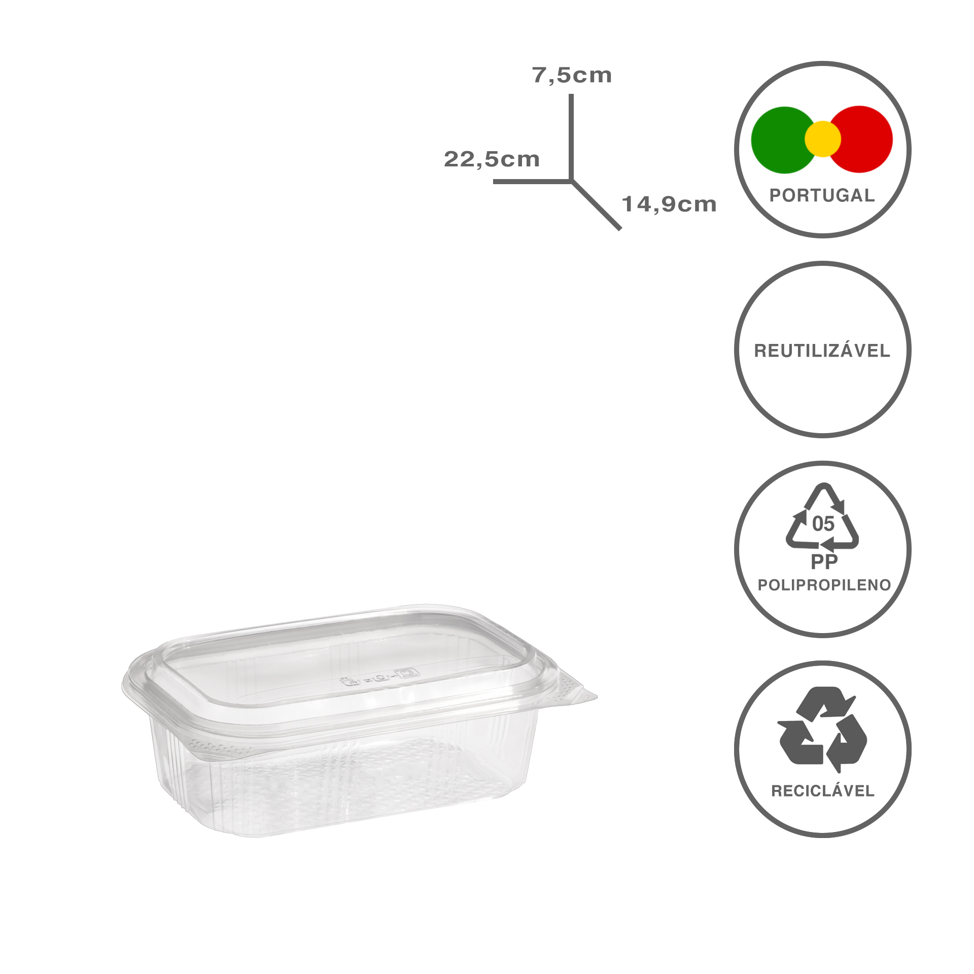 TAKE AWAY CAIXA PP 1000ML 22.5X14.9X7.5CM PACK 60